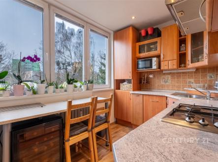 Prodej bytu, 3+1, 56 m²