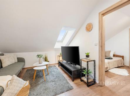 Prodej bytu, 3+kk, 45 m²