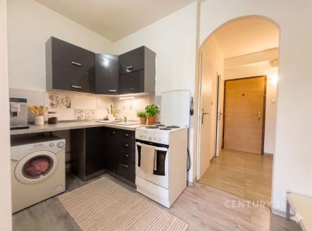 Prodej bytu, 1+kk, 31 m²