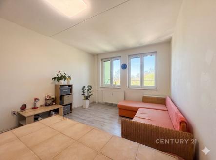Prodej bytu, 1+kk, 31 m²