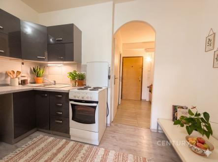 Prodej bytu, 1+kk, 31 m²