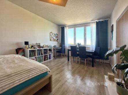 Prodej bytu, 2+1, 58 m²