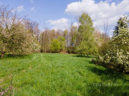 Prodej pozemku pro bydlení, 2 673 m²