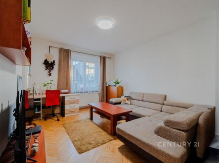 Světlý obývací pokoj s parketovou podlahou, velká okna zajišťují dostatek přirozeného světla, moderní nábytek vytváří útulný prostor