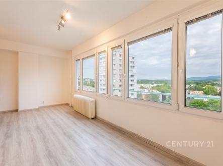 Prodej bytu, 1+kk, 23 m²