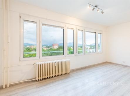 Prodej bytu, 1+kk, 23 m²