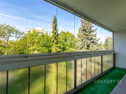 Pronájem bytu, 3+1, 83 m²