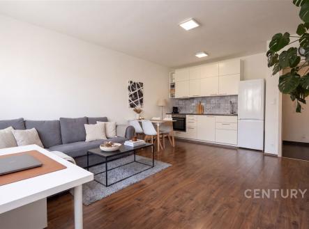 Pronájem bytu, 2+kk, 52 m²