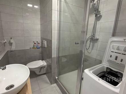 Pronájem bytu, 1+kk, 33 m²