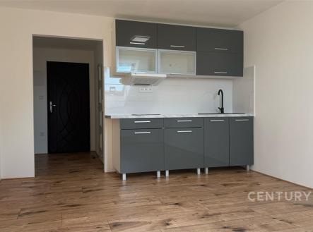 Pronájem bytu, 1+kk, 26 m² obrázek