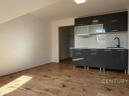 Pronájem bytu, 1+kk, 26 m²