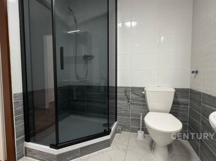 Pronájem bytu, 1+kk, 26 m²