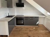 Pronájem bytu, 1+kk, 65 m²