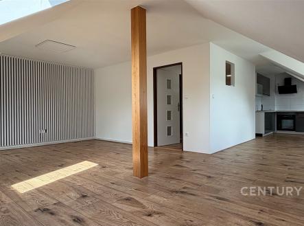 Pronájem bytu, 1+kk, 65 m²