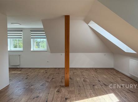 Pronájem bytu, 1+kk, 65 m²
