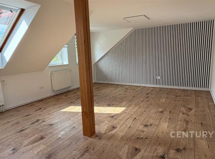 Pronájem bytu, 1+kk, 65 m²