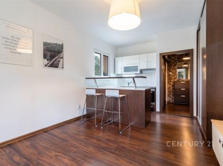 Pronájem bytu, 1+kk, 22 m²
