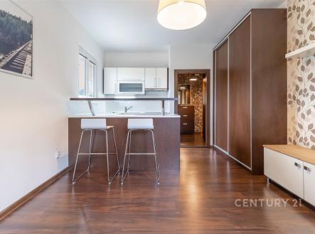 Pronájem bytu, 1+kk, 22 m²