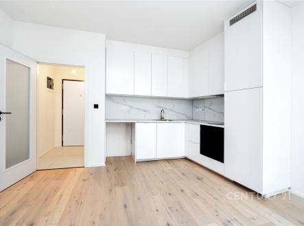 Pronájem bytu, 1+kk, 27 m²