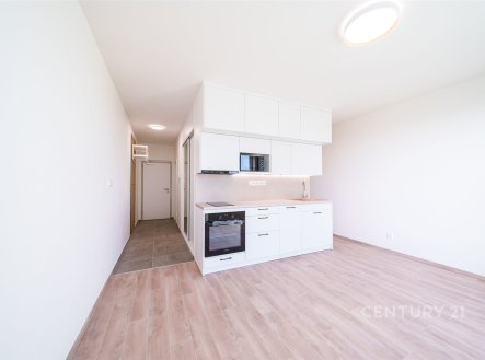Pronájem bytu, 1+kk, 36 m²