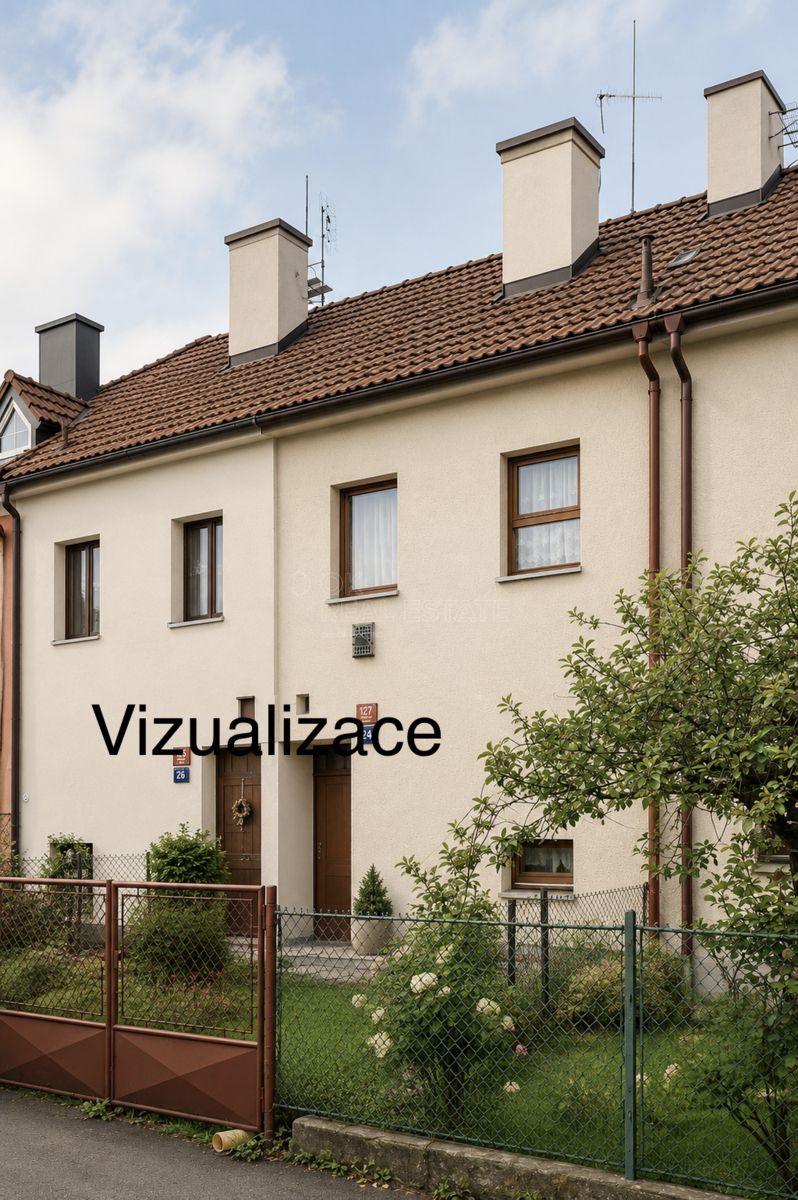 vizualizace dům