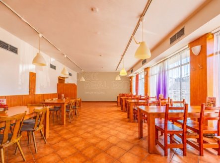 Prodej hotel, 540 m²
