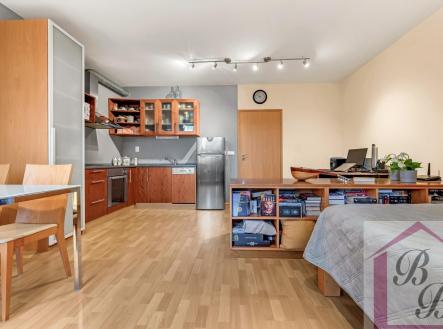 Pronájem bytu, 1+kk, 44 m²
