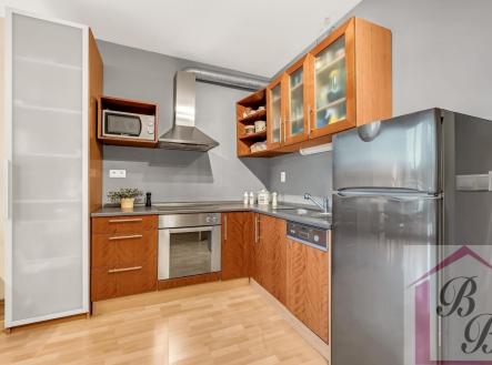 Pronájem bytu, 1+kk, 44 m²