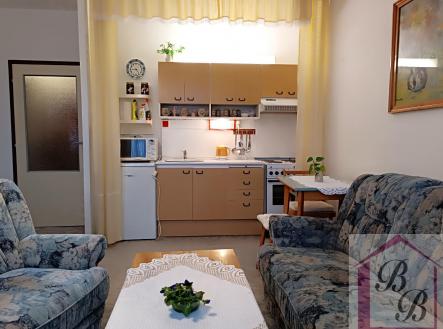 Pronájem bytu, 1+1, 42,8 m²