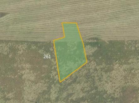 Prodej pozemku, trvalý travní porost, 3 697 m²