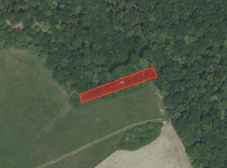 Prodej pozemku, trvalý travní porost, 9 239 m²