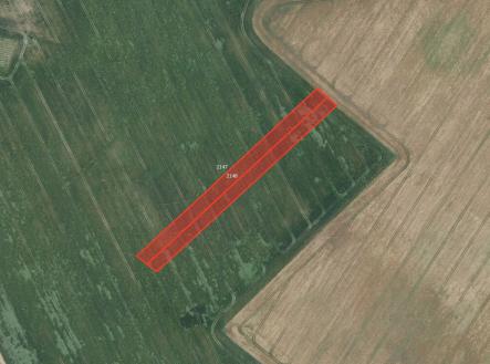 Prodej pozemku, zemědělská půda, 6 296 m²