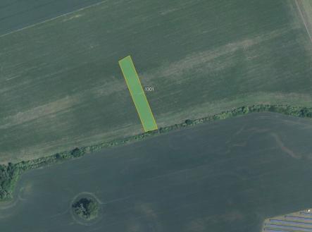 Prodej pozemku, zemědělská půda, 3 981 m²