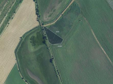 Prodej pozemku, trvalý travní porost, 9 612 m²