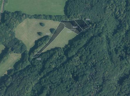 Prodej pozemku, trvalý travní porost, 9 985 m²