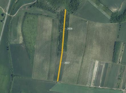 Prodej pozemku, zemědělská půda, 5 778 m²