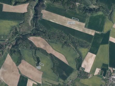 Prodej pozemku, zemědělská půda, 5 954 m²