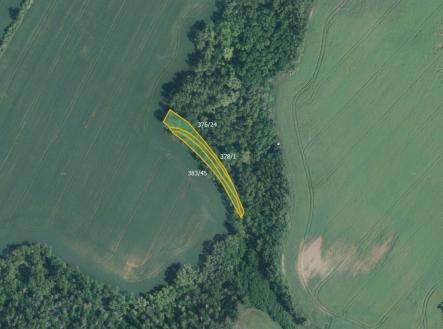 Prodej pozemku, trvalý travní porost, 9 029 m²