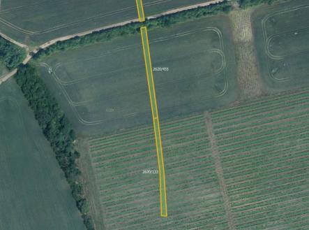 Prodej pozemku, zemědělská půda, 7 763 m²