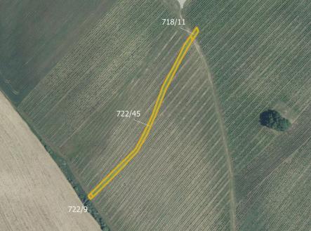 Prodej pozemku, zemědělská půda, 6 005 m²