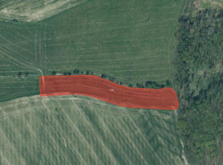 Prodej pozemku, trvalý travní porost, 9 572 m²