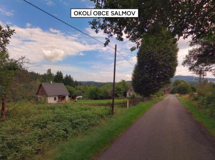 Prodej pozemku pro bydlení, 2 981 m²