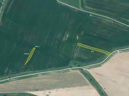 Prodej pozemku, zemědělská půda, 10 026 m²