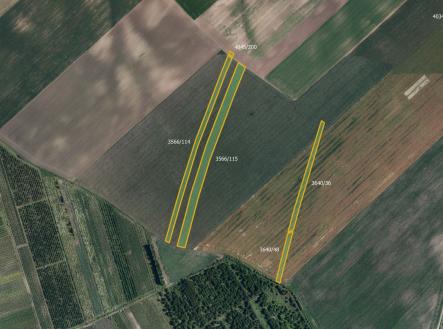Prodej pozemku, zemědělská půda, 63 840 m²