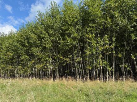Prodej pozemku, zemědělská půda, 108 179 m²