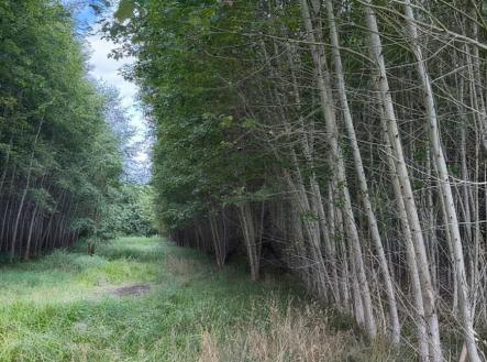 Prodej pozemku, zemědělská půda, 108 179 m²