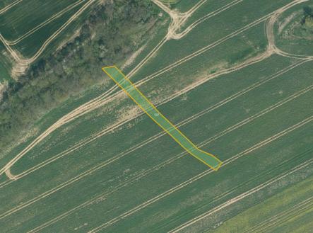 Prodej pozemku, zemědělská půda, 8 919 m²