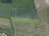 Prodej pozemku, zemědělská půda, 7 043 m²