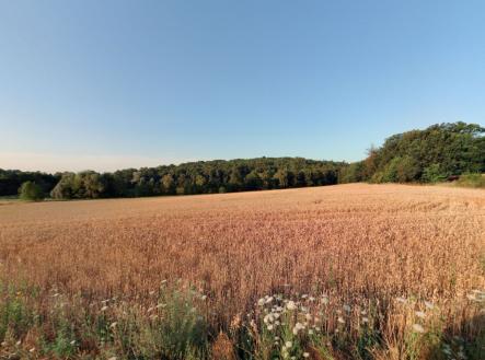 Prodej pozemku, zemědělská půda, 16 924 m²