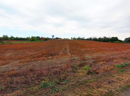 Prodej pozemku pro bydlení, 5 369 m²